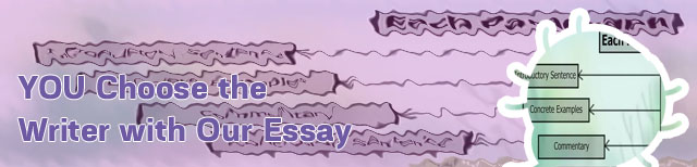 Cheap essays to write