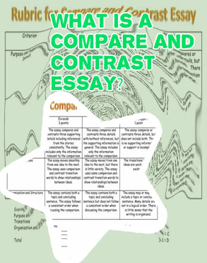 Compare and contrast short essay
