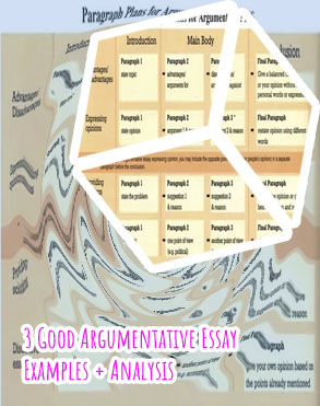 Example of an argumentative text