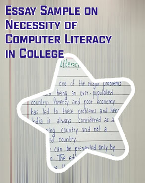 Literacy essay examples