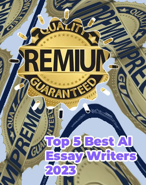 Premium quality essays