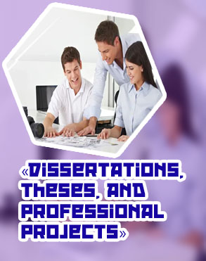 Professional dissertation