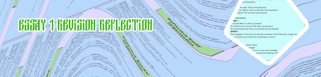 Reflection in essay writing