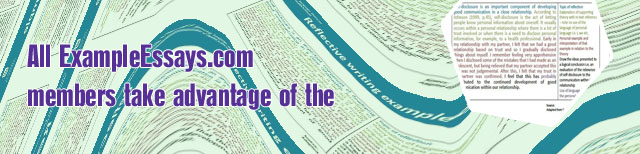 Reflective evaluation essay example