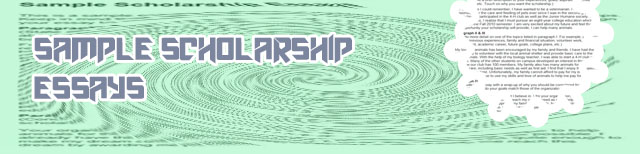 Scholarship application essay examples