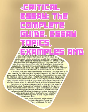 Writing a good persuasive essay